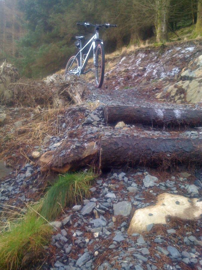Silver Ridge, 2 House O' Hill Newton Stewart Bagian luar foto